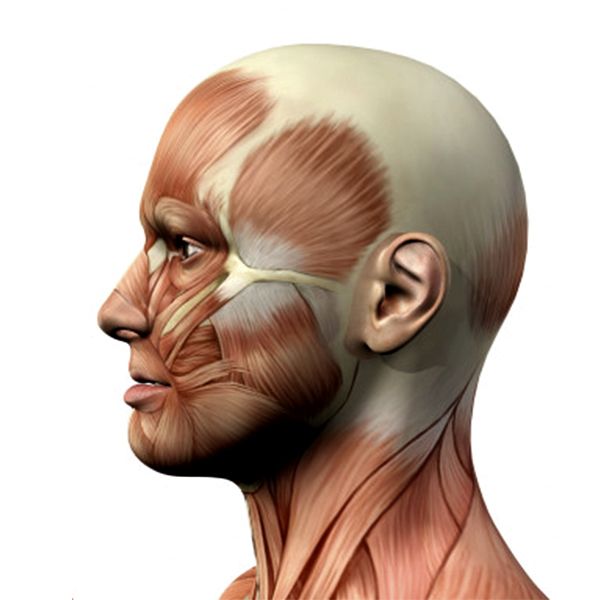 BOCA Y EQUILIBRIO POSTURAL