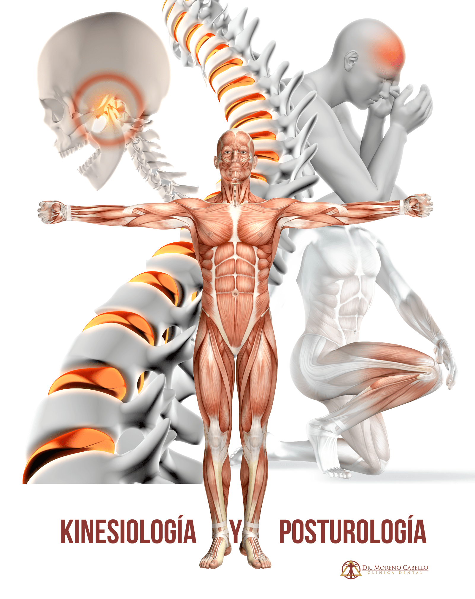 BOCA Y EQUILIBRIO POSTURAL