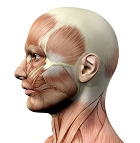 LA BOCA EN EQUIPOS MULTIDISCIPLINARES