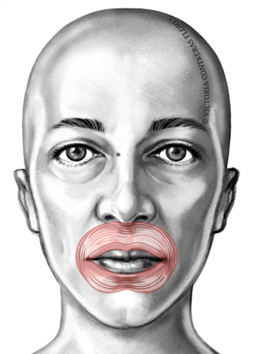 MEJORAR EL SELLADO LABIAL