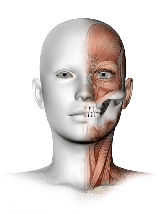 CABEZA SANA Y CUERPO SANO