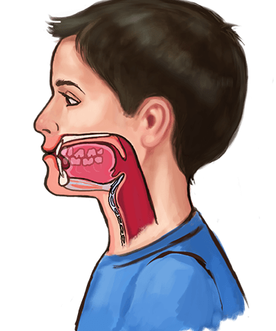 DIENTES-BONITOS-EN-UN-CUERPO-SANO