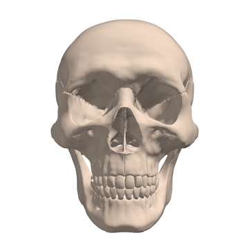 Tratamiento precoz en ortodoncia