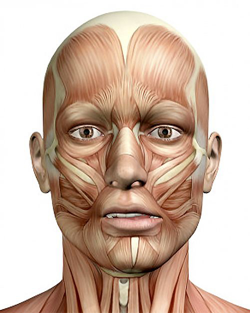 Tallado-selectivo-eficiente