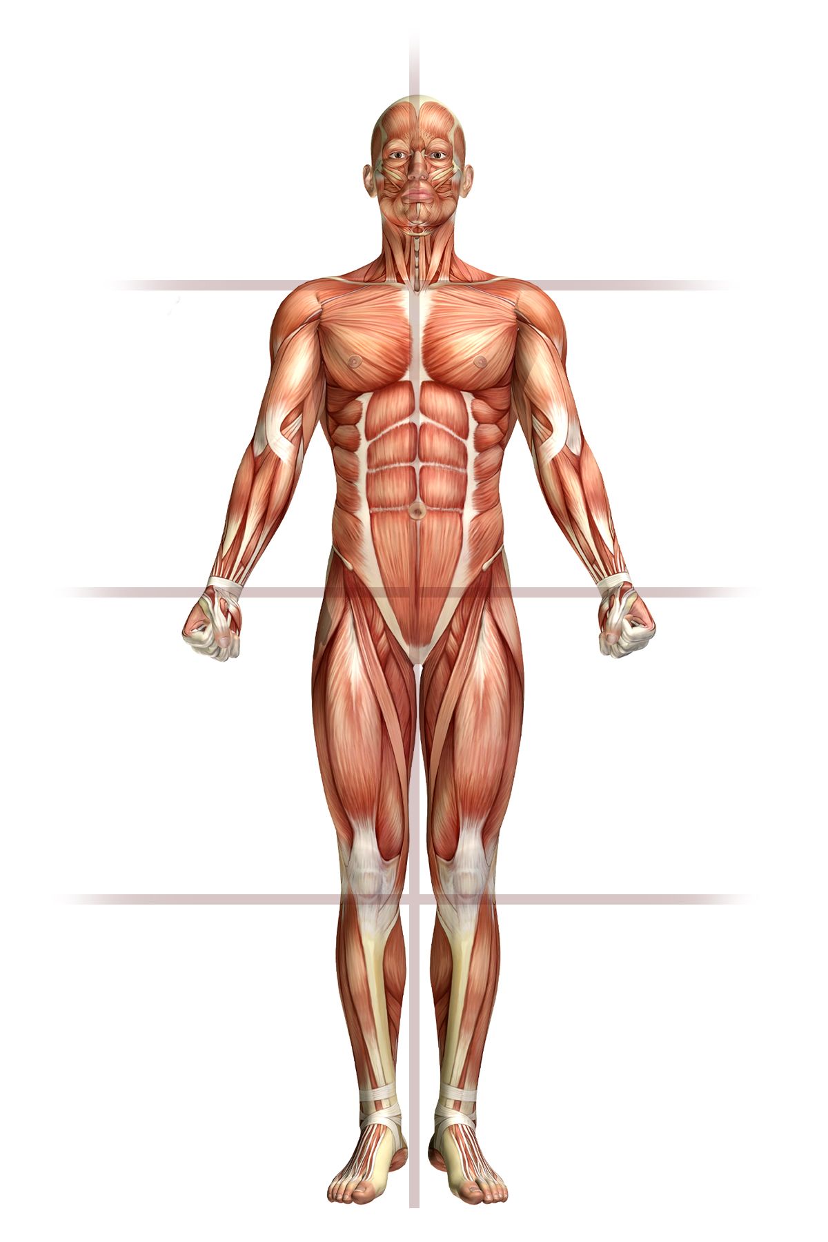 LA BOCA ES LA PUERTA DE LA SALUD