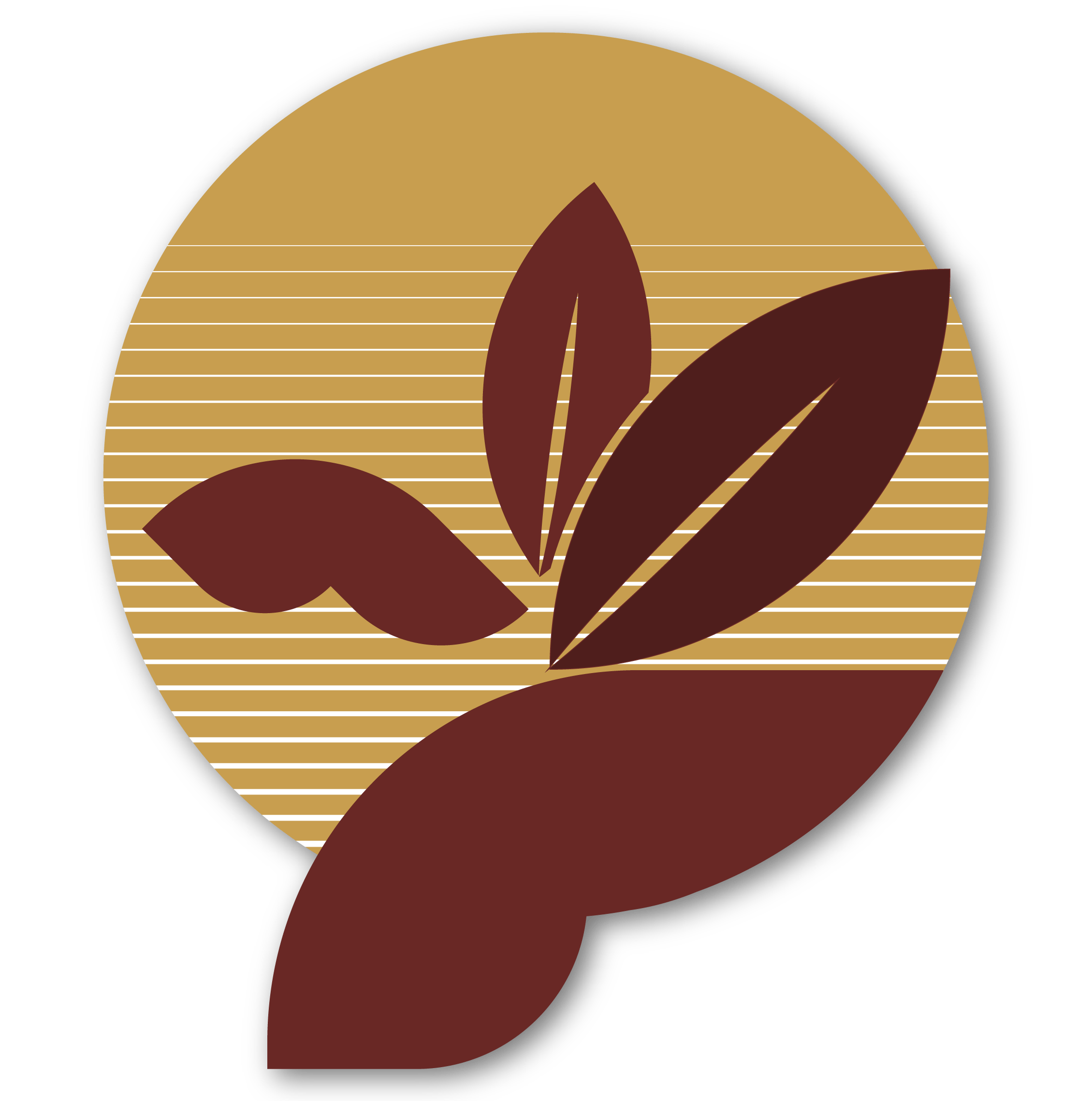 clinicadentalmorenocabello-Materiales-de-Alta-Compatibilidad-en-la-Boc