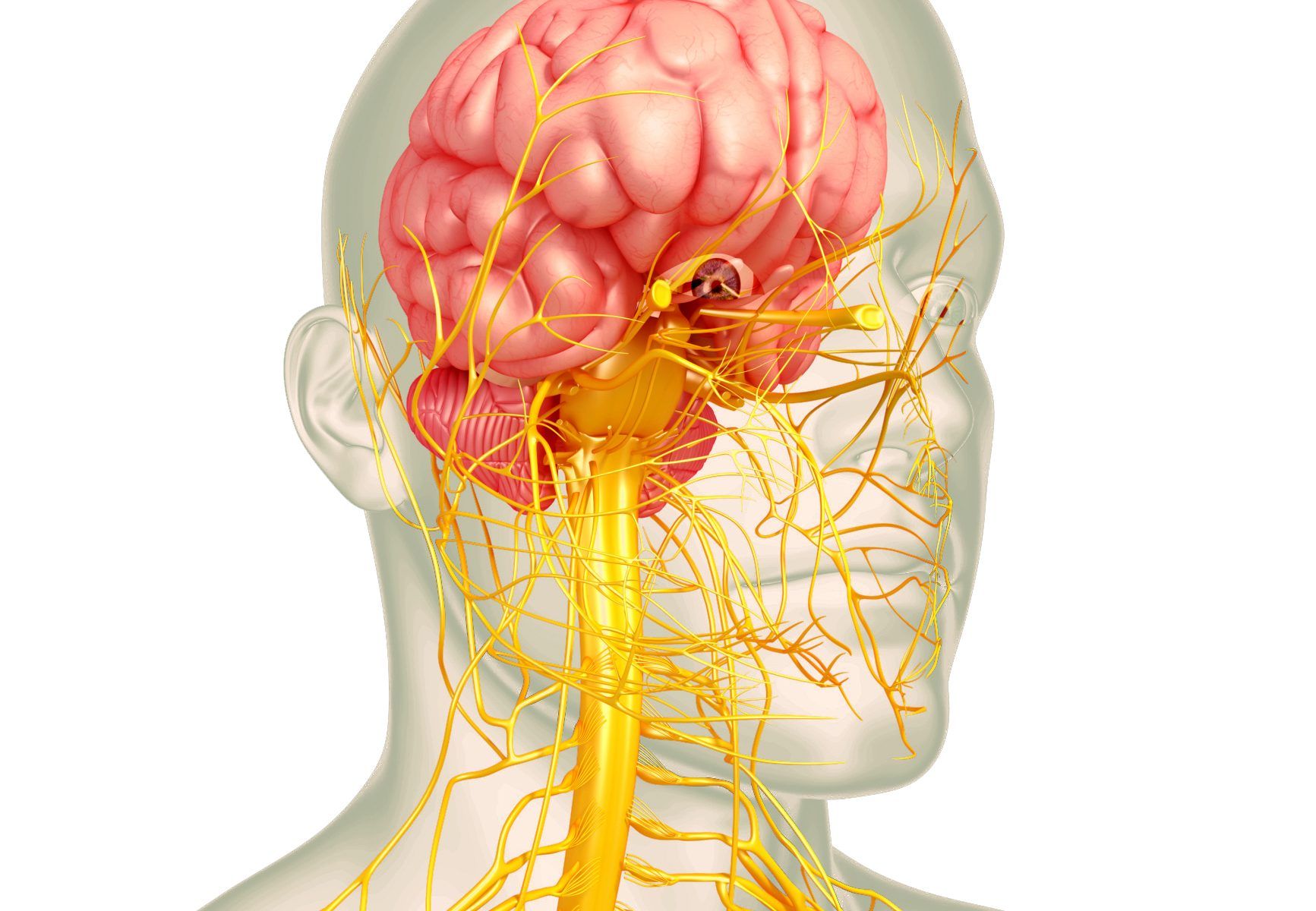 clinicadental-morenocabello-trigemino
