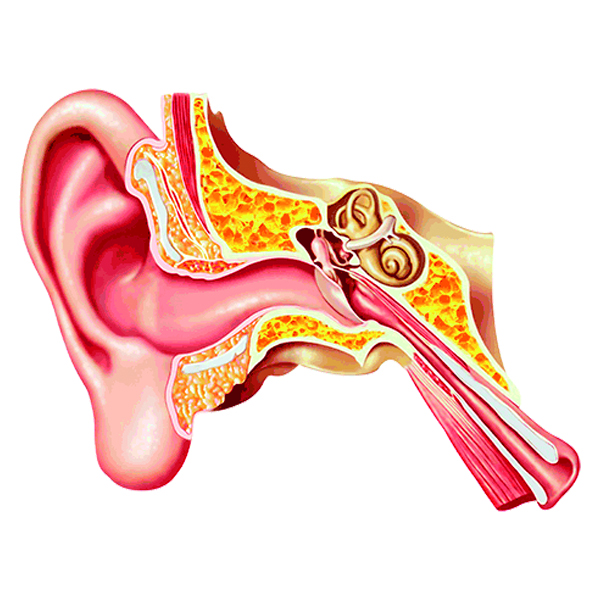 acufenos-clinica-dental-moreno-cabello