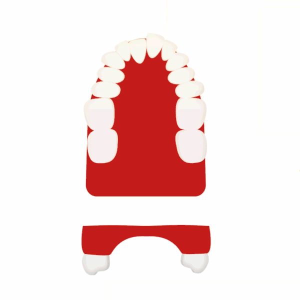 Fases de tratamiento con HBTC-RFA.