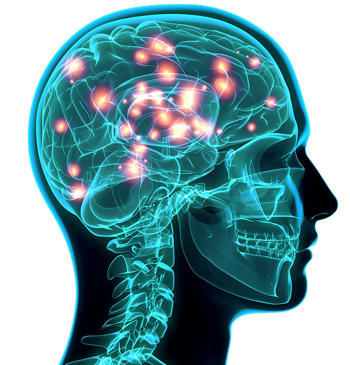 clinicadentalmorenocabello-masticacion-y-memoria