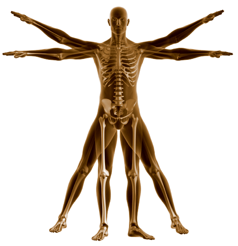 Disfunción-Temporomandibular-interdisciplinar