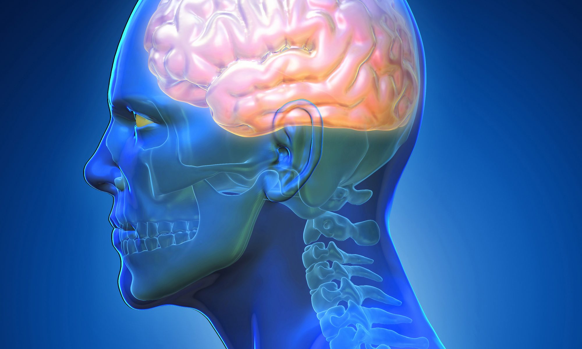 DIFERENCIAS DE FUNCIONAMIENTO RFA