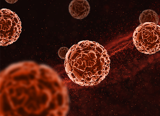 clinicadentalmorenocabello-Terapia-de-luz-Bioptron