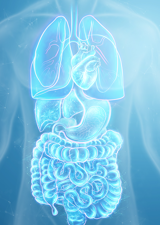 Acidosis,-dolor-crónico