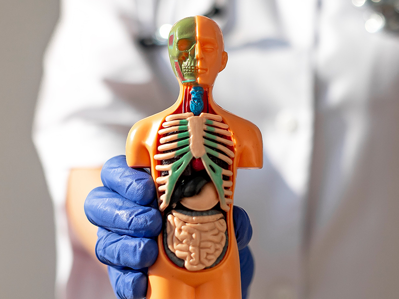 Equilibrado Funcional Integral (EFI)