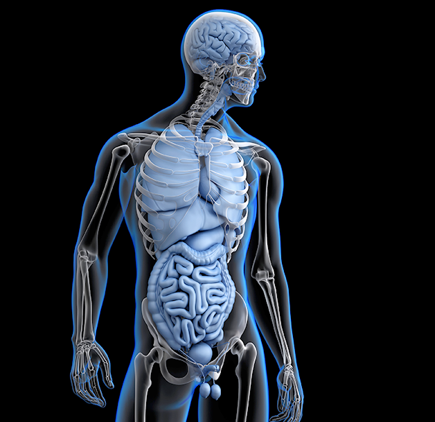 Equilibrio y Desintoxicación a través de la boca