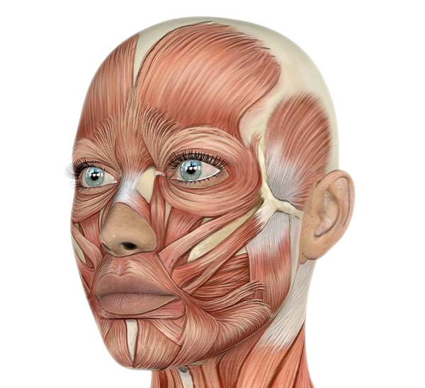 Estetica y salud Bioptron