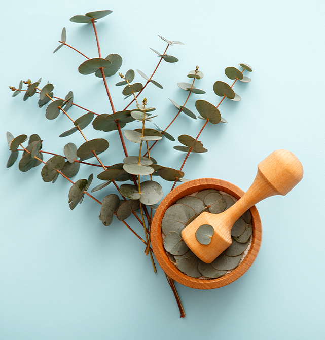 Medicina-Tradicional-y-Terapia